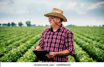 Farmer checking crop in a soybean field and making a notes. Agricultural concept