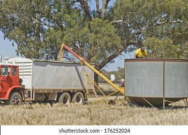 Farmer Checks Field Bin As Truck Is Loaded With Grain