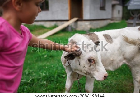 Similar – Image, Stock Photo Little baby cow feeding from milk bottle.