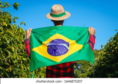 Farmer At Coffee Plantation Holding Brazilian Flag.