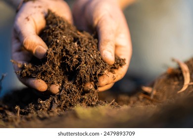 farmer collecting soil samples in a test tube in a field. Agronomist checking soil carbon and plant health on a farm