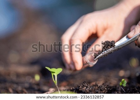 farmer collecting soil samples in a test tube in a field. Agronomist checking soil carbon and plant health on a farm Foto stock © 