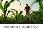 Farmer with computer tablet in green corn field. Modern digital technologies, Worker works on farm. Agronomist on farm. Farmer man in corn field works with computer, Business Farm. Agriculture concept