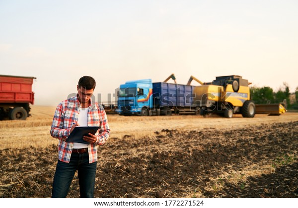 Farmer controls loading wheat from harvester\
to grain truck. Driver holding clipboard, keeping notes, cargo\
counting. Forwarder fills in consignment waybills. Agricultural\
commodities logistics.