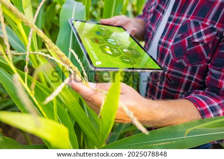 Farmer in corn field using digital tablet for smart farming