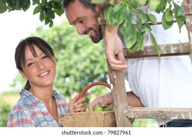 Farmer Couple Picking Fruit