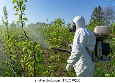 Farmer in Coveralls With Gas Mask Spraying Orchard With Atomizer Sprayer. Farmer in Personal Protective Clothing Spraying Orchard in Springtime. Spraying Trees With Toxic Pesticides or Insecticides.