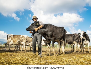 Farmer And Cows