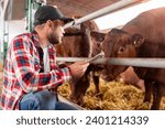 Farmer and cows in ranch. Man rancher with digital tablet in hands working at livestock farm. 