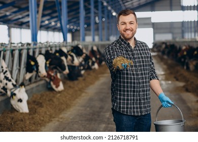 Farmer Cowshed Feeding Cows Farm Stock Photo 2126718791 | Shutterstock