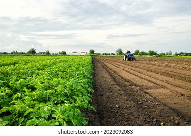 The farmer cultivates half of the field. Harvesting and destruction of tops after harvest. Freeing up the area for a new harvest. Milling soil. Plowing. Loosening surface, land cultivation. Farming