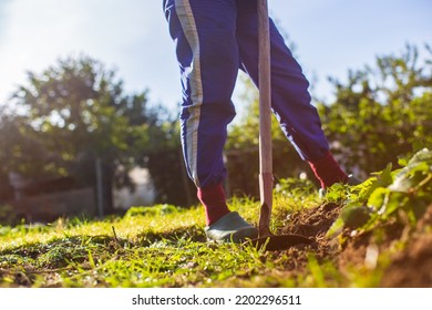 6,644 Hoe land Images, Stock Photos & Vectors | Shutterstock