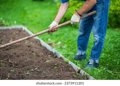 Farmer cultivating land in the garden with hand tools. Soil loosening. Gardening concept. Agricultural work on the plantation.
