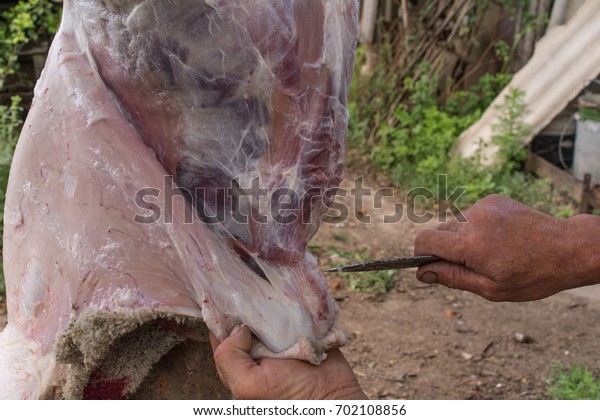 The farmer is cutting lamb carcass. Freshness of\
mutton carcass.