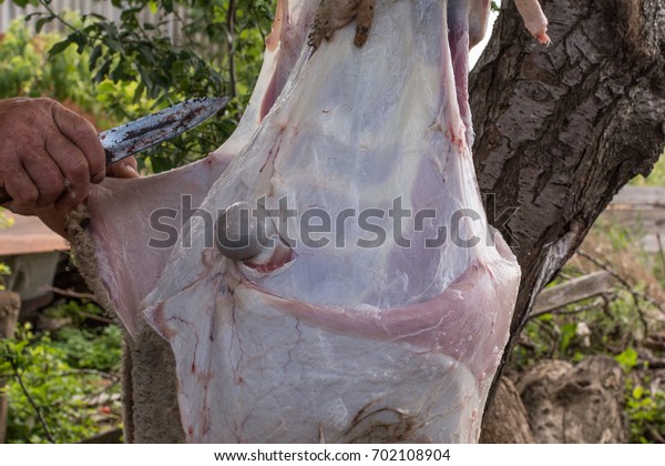 The farmer is cutting lamb carcass. Freshness of\
mutton carcass.