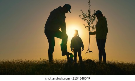 Farmer Dad, Mom Child Planting Tree. Happy Family Team Planting Tree In Sun Spring Time. Silhouette Of Family With Tree At Sunset. Family With Shovel And Watering Can Plants Young Trees Sprout In Soil