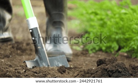 farmer digging soil shovel, agriculture, digging ground shoveled foot rubber boots, shovel garden work, tilling farm land, gardening business venture, vegetable garden planting, agricultural field