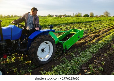 Farmer digs out a crop of potatoes. Harvest first potatoes in early spring. Farming and farmland. Agro industry and agribusiness. Harvesting mechanization in developing countries. Support for farms - Shutterstock ID 1976125610