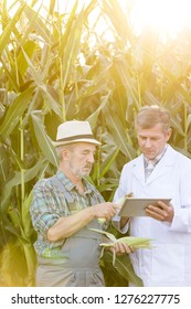 Farmer Discussing With Scientist Digital Tablet Against Corn Crops At Farm With Strong Lens Flare