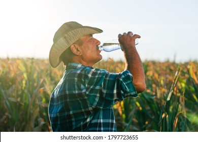 farmer drink water. in the cornfield, he takes a break after work at sunset. farmer in shirt with squares with hat - Powered by Shutterstock