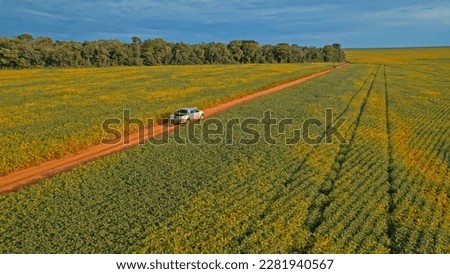 Farmer driving pickup truck in soy farm