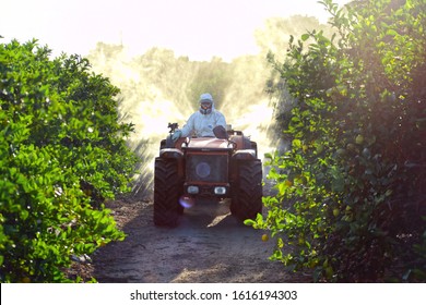 Farmer driving tractor spraying pesticide and insecticide on lemon plantation in Spain. Weed insecticide fumigation. Organic ecological agriculture. A sprayer machine, trailed by tractor spray