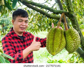 Farmer Durian On Tree Farmer Enjoying Stock Photo 2177071141 | Shutterstock