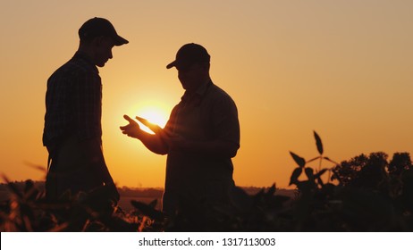 A farmer extends his hand for a handshake to a young worker. Standing on a field at sunset - agribusiness concept - Shutterstock ID 1317113003