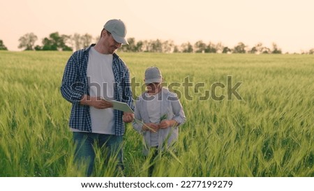 Farmer father works with digital tablet in wheat field with his little son. Dad, son grow grain crop. Family business, farmers. Happy family, childs father walk together on wheat plantation in summer
