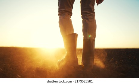 farmer feet walks across a black field. agriculture business concept. silhouette of a farmer feet at sunset walking across a black plowed field. farmer in rubber boots legs lifestyle close-up