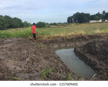 farmer in feild