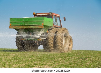 Farmer Fertilizing Wheat With Nitrogen, Phosphorus, Potassium Fertilizer