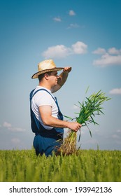 Farmer In The Field Stock Photo 193942136 : Shutterstock