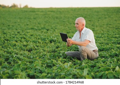 farmer in filed holding tablet in his hands and examining soybean corp.