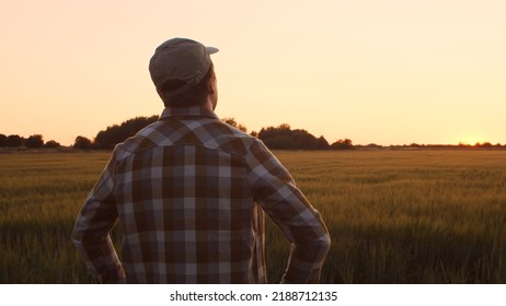 Farmer In Front Of A Sunset Agricultural Landscape. Man In A Countryside Field. Country Life, Food Production, Farming And Country Lifestyle Concept.