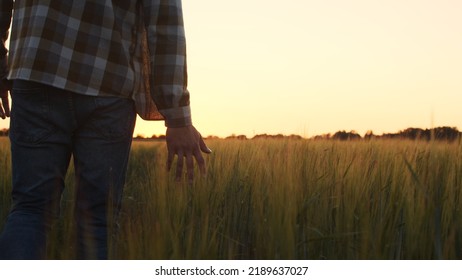 Farmer In Front Of A Sunset Agricultural Landscape. Man In A Countryside Field. Country Life, Food Production, Farming And Country Lifestyle Concept.