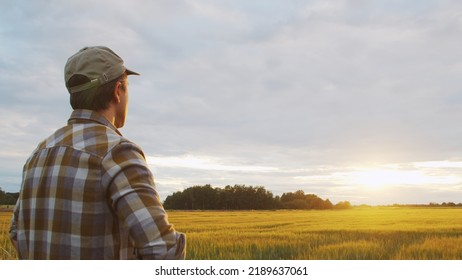 Farmer In Front Of A Sunset Agricultural Landscape. Man In A Countryside Field. Country Life, Food Production, Farming And Country Lifestyle.