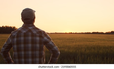 Farmer In Front Of A Sunset Agricultural Landscape. Man In A Countryside Field. Country Life, Food Production, Farming And Country Lifestyle Concept.