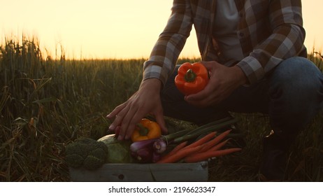 Farmer In Front Of A Sunset Agricultural Landscape. Man In A Countryside Field. Country Life, Food Production, Farming And Country Lifestyle Concept.