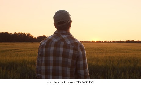 Farmer In Front Of A Sunset Agricultural Landscape. Man In A Countryside Field. Country Life, Food Production, Farming And Country Lifestyle Concept.