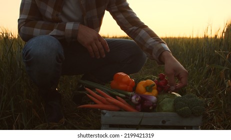 Farmer In Front Of A Sunset Agricultural Landscape. Man In A Countryside Field. Country Life, Food Production, Farming And Country Lifestyle Concept.