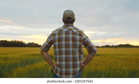 Farmer In Front Of A Sunset Agricultural Landscape. Man In A Countryside Field. Country Life, Food Production, Farming And Country Lifestyle.