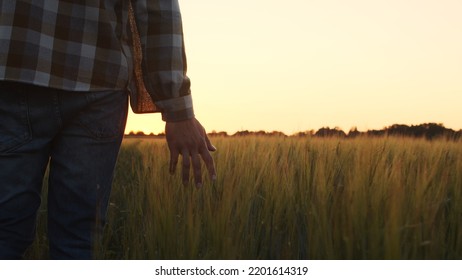 Farmer In Front Of A Sunset Agricultural Landscape. Man In A Countryside Field. Country Life, Food Production, Farming And Country Lifestyle Concept.