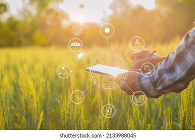 Farmer giving advice on wheat work online on tablet in wheat field - Shutterstock ID 2133988045