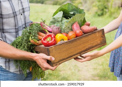 Farmer giving box of veg to customer on a sunny day