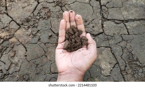 Farmer Hand Holding And Checking Dryness In Damaged, Dry, Broken, Rough And Cracked Black Soil Of Outdoor Barren, Arid, Wasteland Or Parched Land Ground Earth Floor Surface. Closeup Flat Lay Top View.