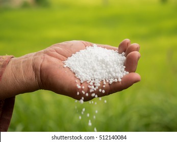 Farmer Hand Pouring Plant Chemical Urea Fertilizer Over Green Background