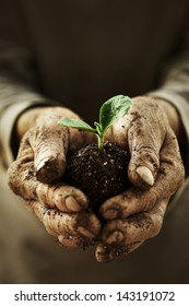 Farmer Hands Holding A Planted.