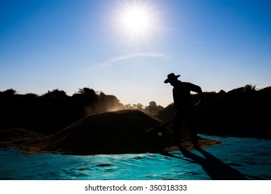 Farmer Harvesting Their Rice. He Working Under The Very Hot Weather From Sunshine, Which Is Can Cause Of Heat Stroke.