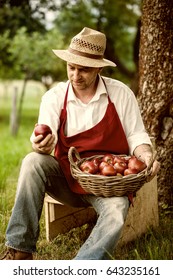 Farmer At His Apple Orchard 